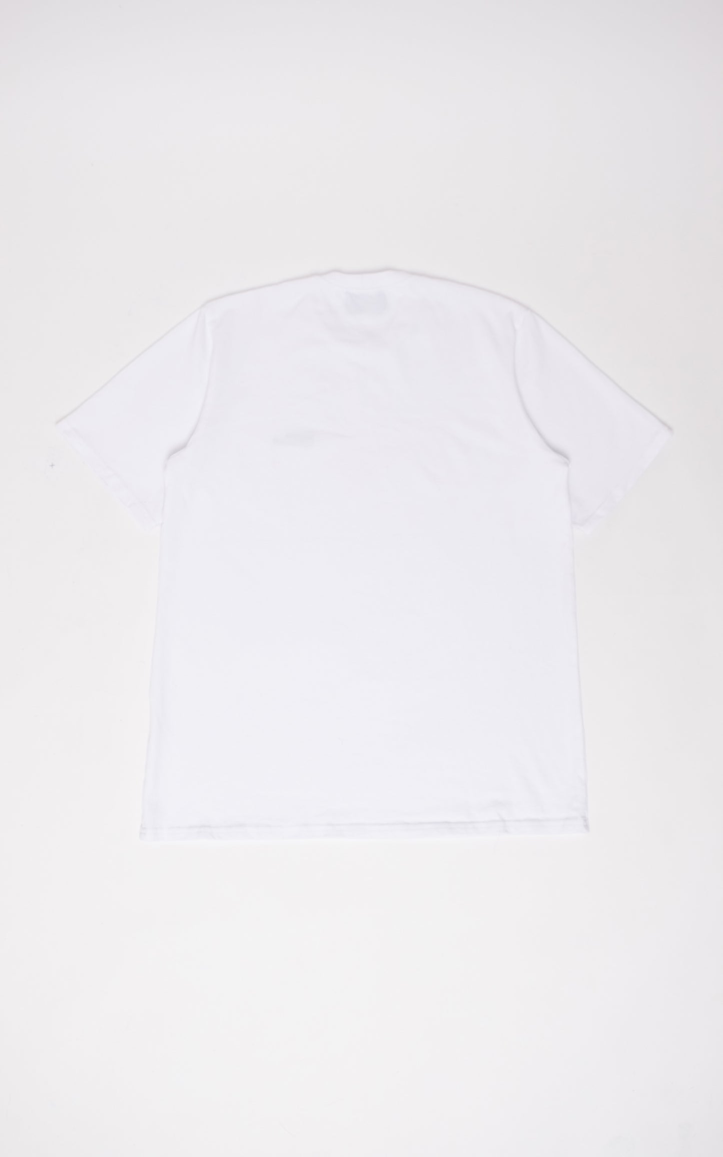 LE TEE SHIRT PAPILLON BLANC